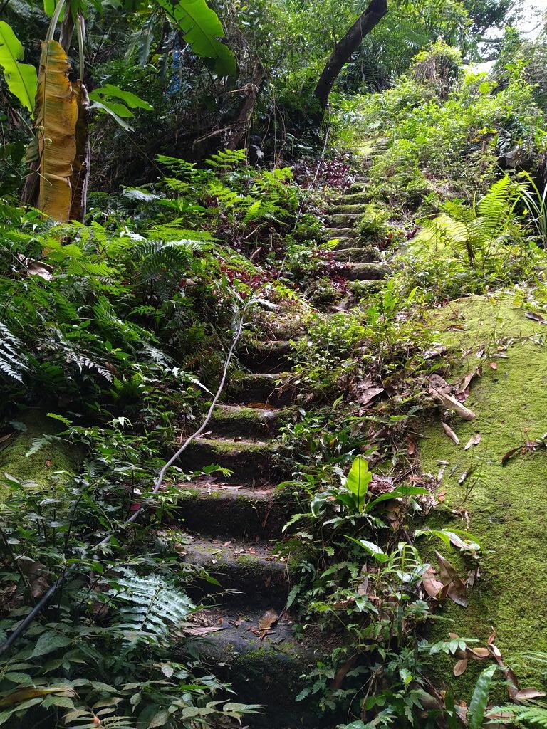 20240216 烘爐地拜土地公順登中和尖山,中和尖山東南峰