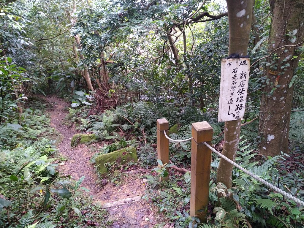 20240216 烘爐地拜土地公順登中和尖山,中和尖山東南峰