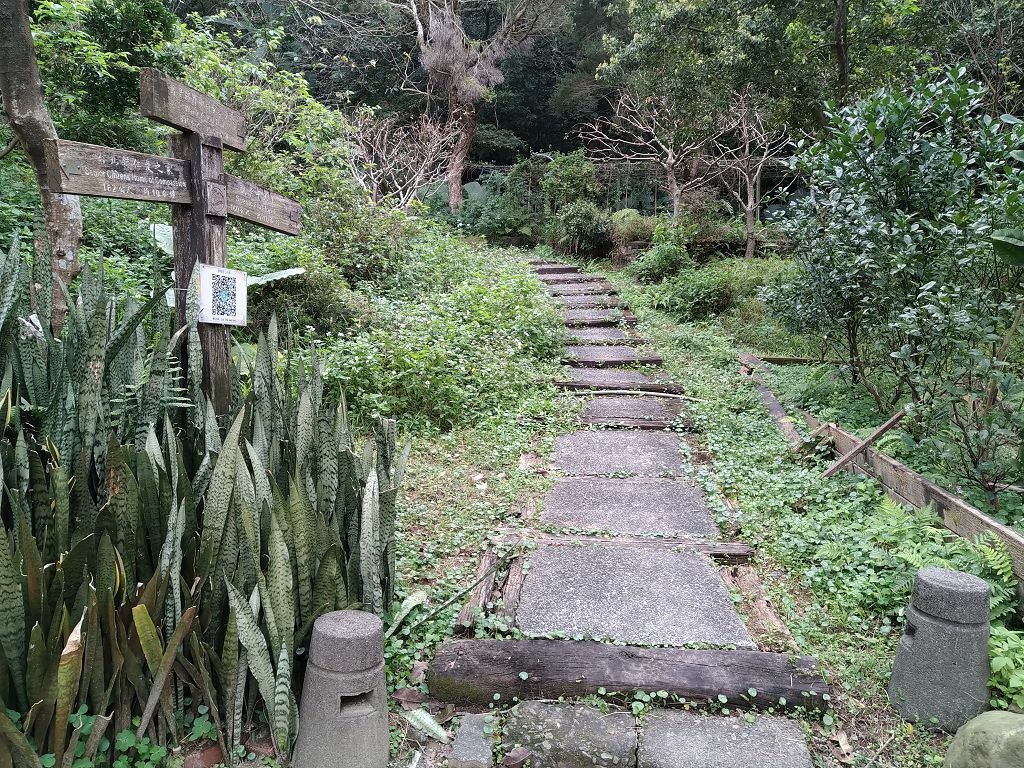 20240217 北海岸揀山頭(下奎柔山,駱駝峰,大單面山和