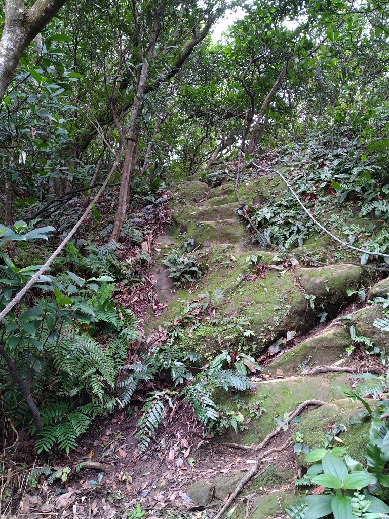 20240217 北海岸揀山頭(下奎柔山,駱駝峰,大單面山和