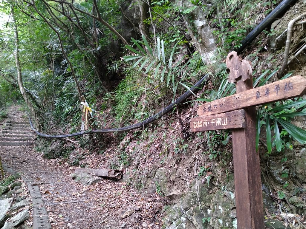 20240412 象鼻吊橋登千兩山,細道邦山與象鼻山(889