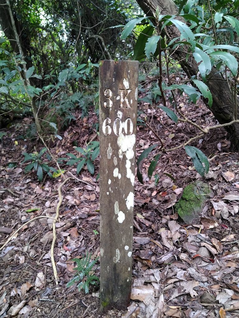 20240412 象鼻吊橋登千兩山,細道邦山與象鼻山(889