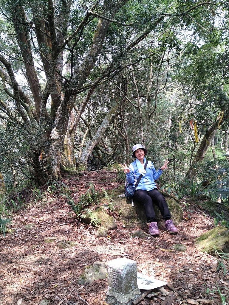 20240412 象鼻吊橋登千兩山,細道邦山與象鼻山(889