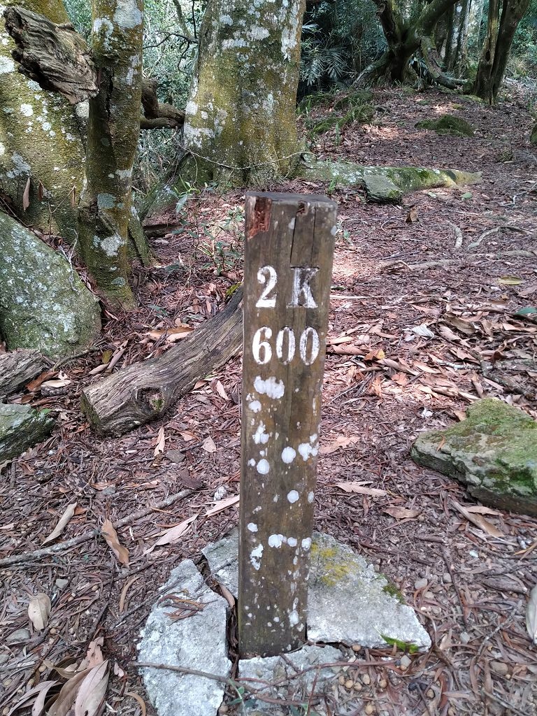 20240412 象鼻吊橋登千兩山,細道邦山與象鼻山(889