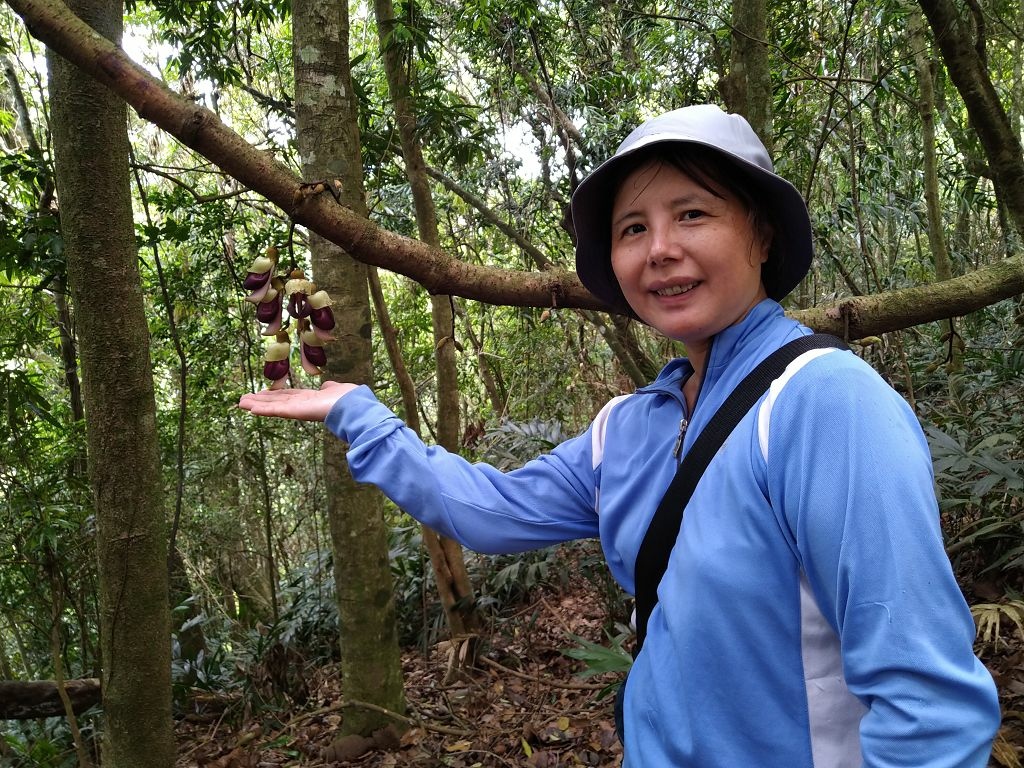 20240412 象鼻吊橋登千兩山,細道邦山與象鼻山(889