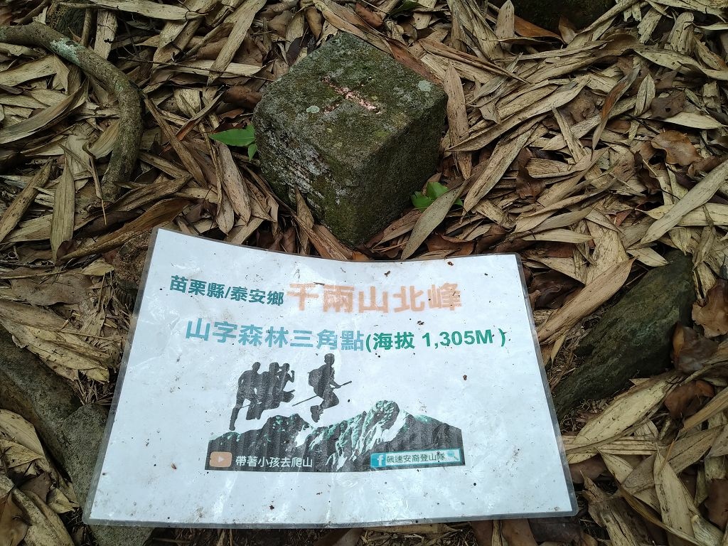 20240412 象鼻吊橋登千兩山,細道邦山與象鼻山(889