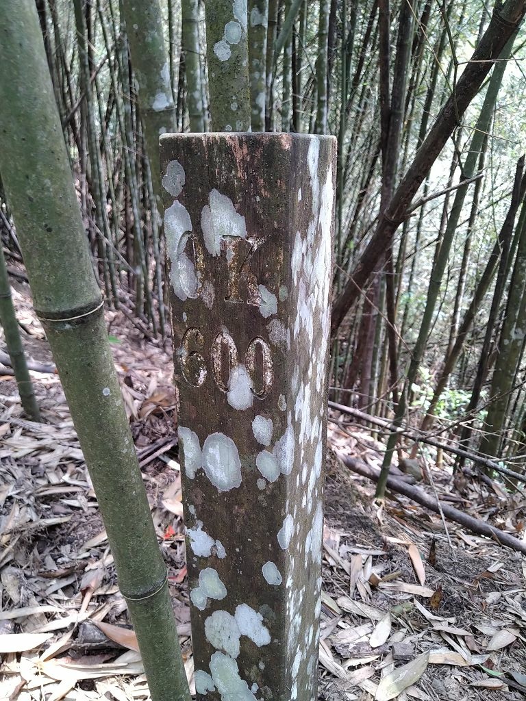 20240412 象鼻吊橋登千兩山,細道邦山與象鼻山(889