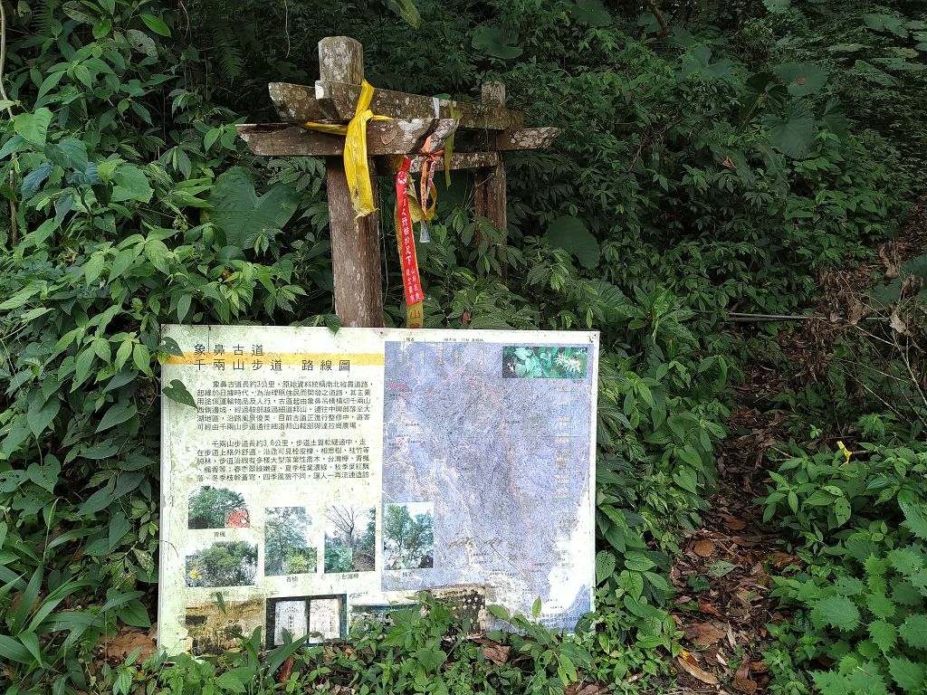 20240412 象鼻吊橋登千兩山,細道邦山與象鼻山(889