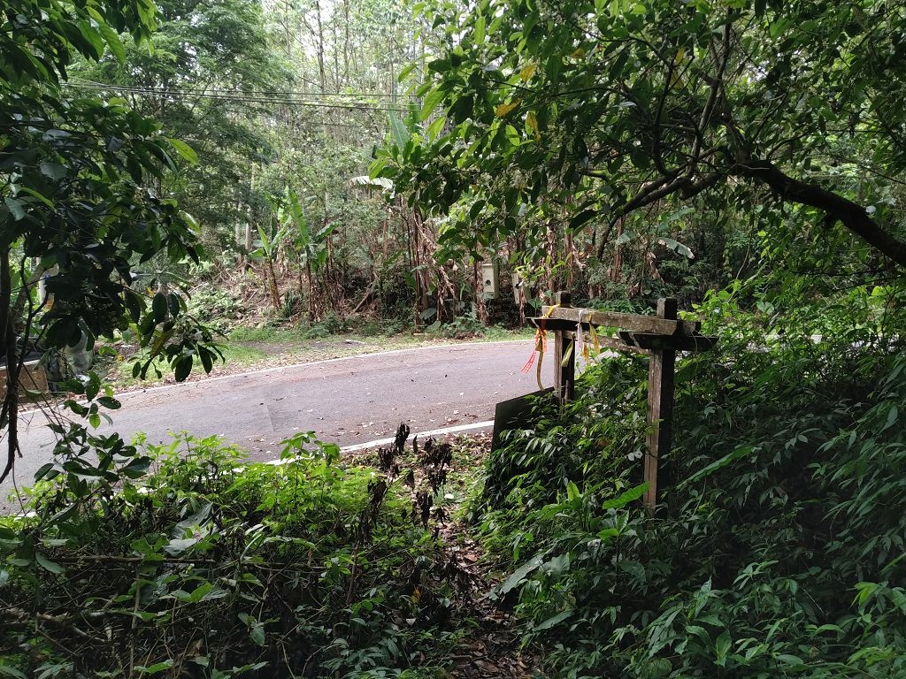 20240412 象鼻吊橋登千兩山,細道邦山與象鼻山(889