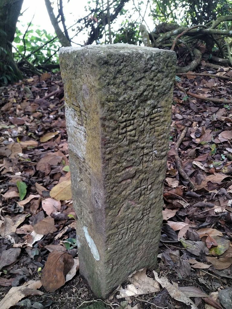 20240412 象鼻吊橋登千兩山,細道邦山與象鼻山(889