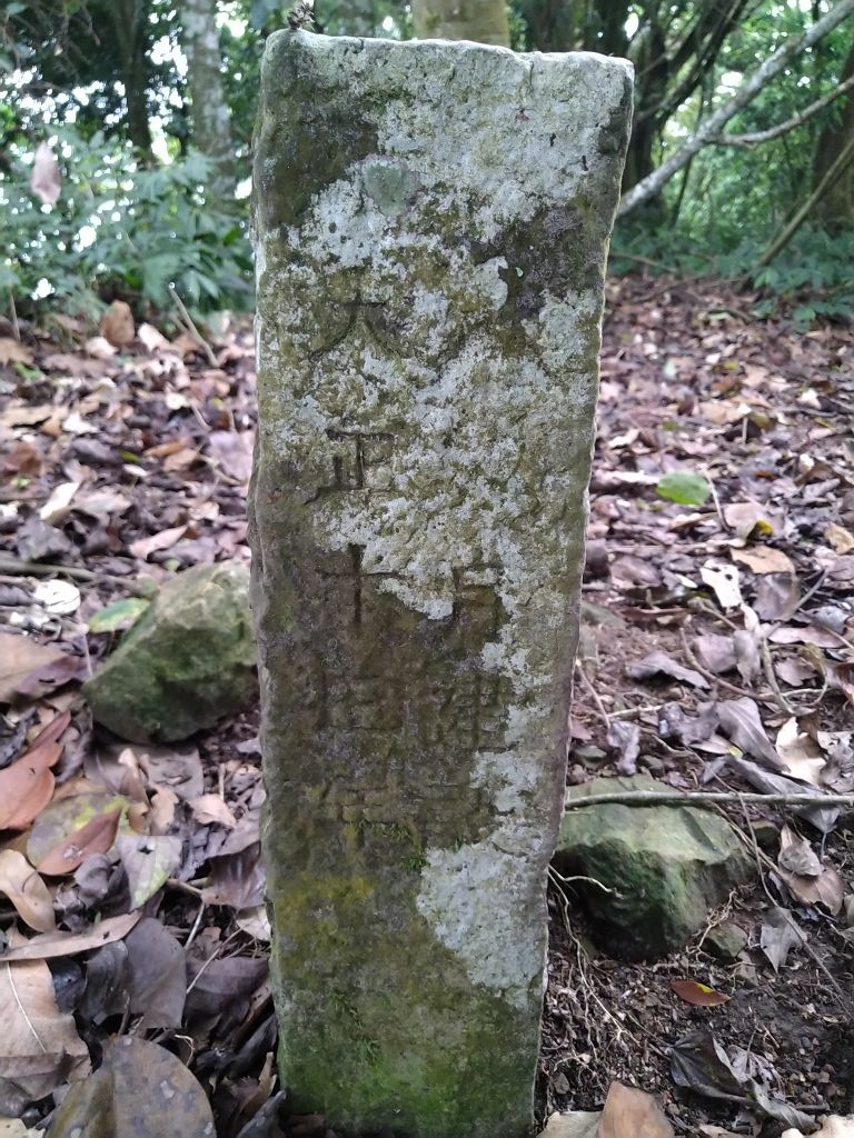 20240412 象鼻吊橋登千兩山,細道邦山與象鼻山(889