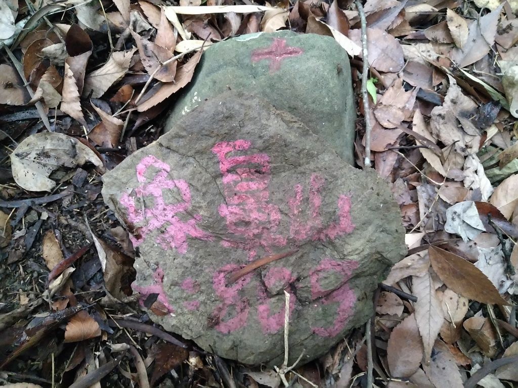 20240412 象鼻吊橋登千兩山,細道邦山與象鼻山(889