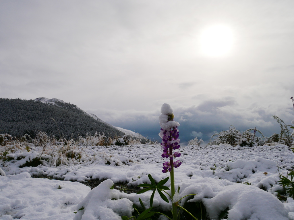 P1000517.JPG P1000517.JPG