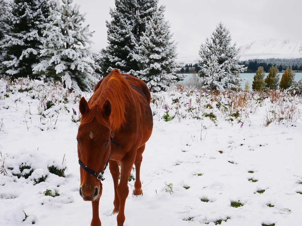 P1000519.JPG P1000519.JPG