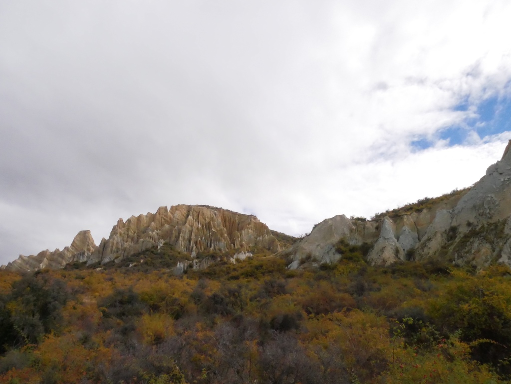 1010050.jpg 1010050.jpg