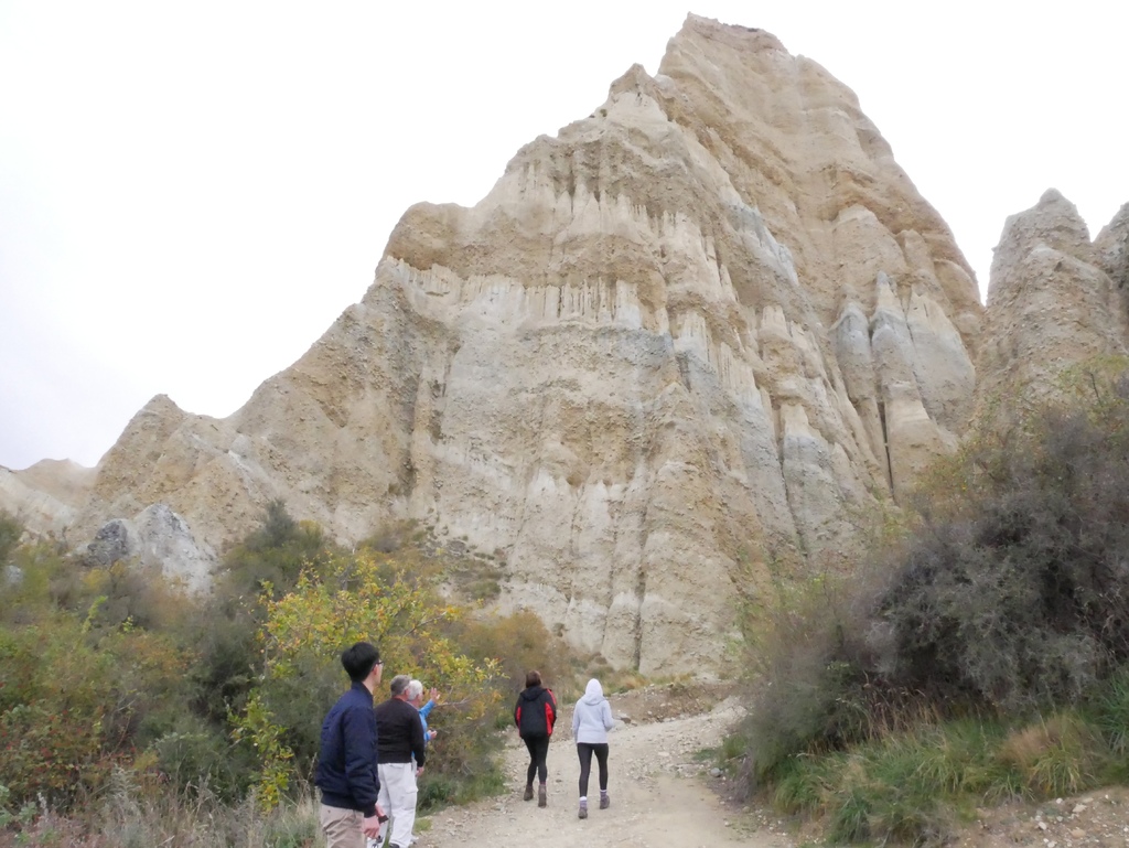 1010051.jpg 1010051.jpg