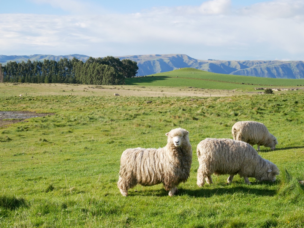 1010093.jpg 1010093.jpg