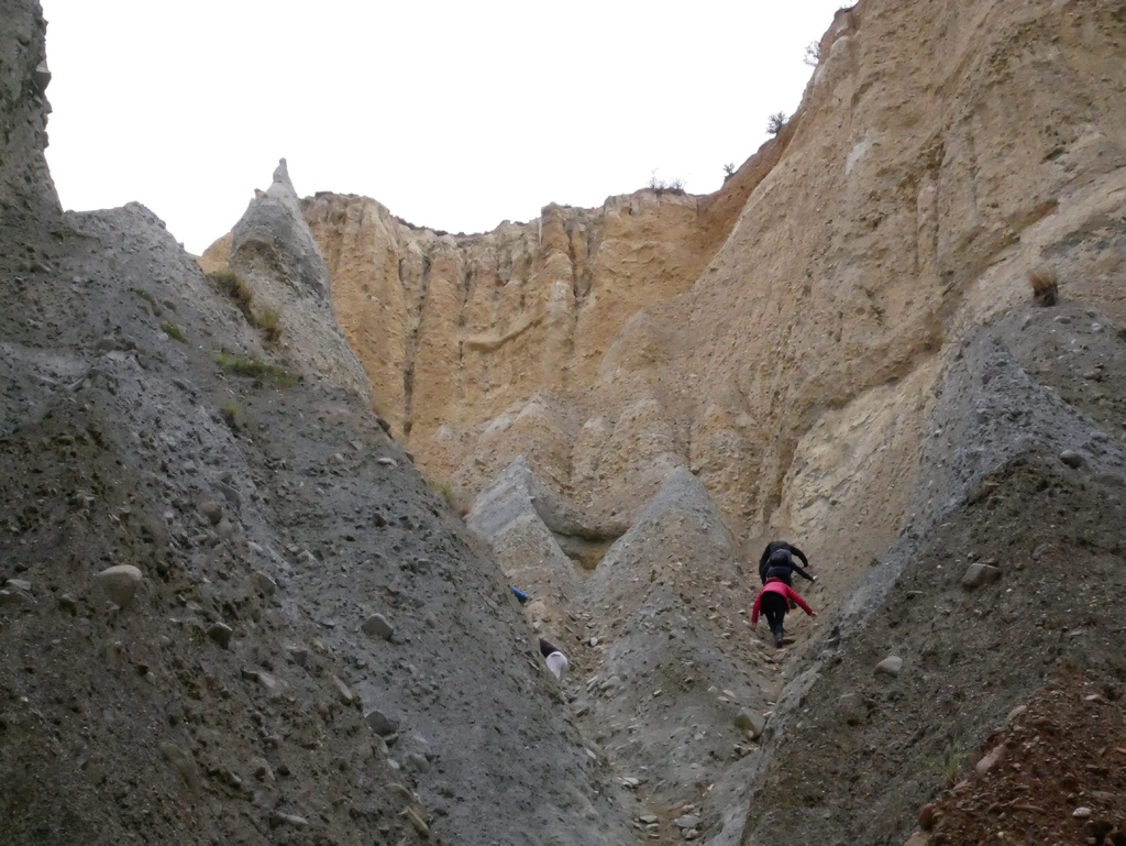 1010069.jpg 1010069.jpg