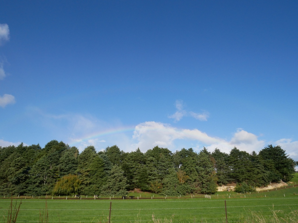 1010084.jpg 1010084.jpg