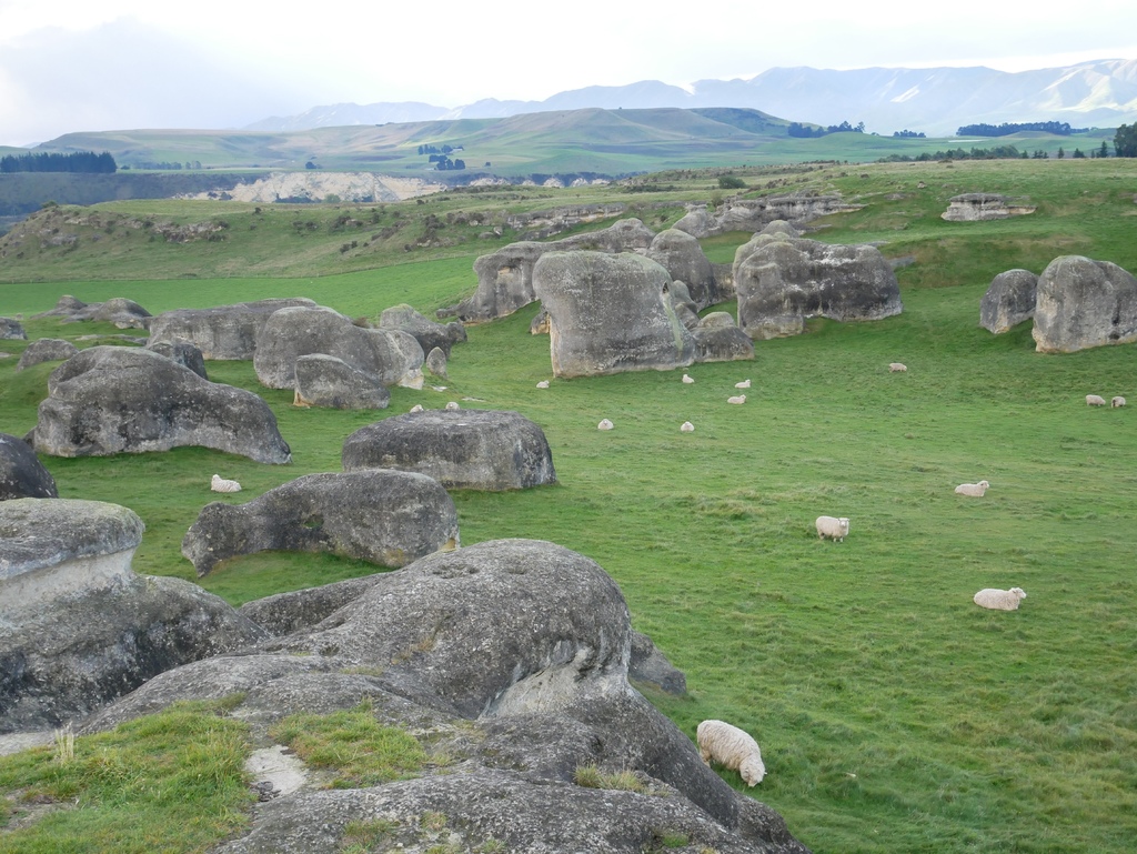 1010117.jpg 1010117.jpg