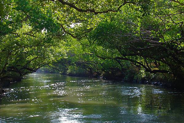 IMG_87381.jpg IMG_87381.jpg