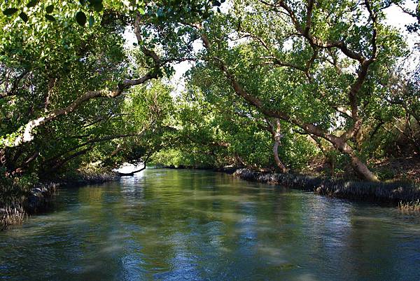 IMG_8742.JPG IMG_8742.JPG