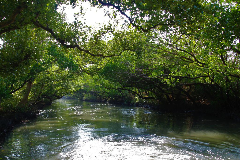 IMG_8738.JPG IMG_8738.JPG