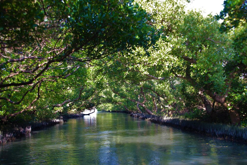 IMG_8744.jpg IMG_8744.jpg