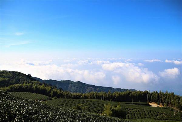 IMG_7890.JPG IMG_7890.JPG