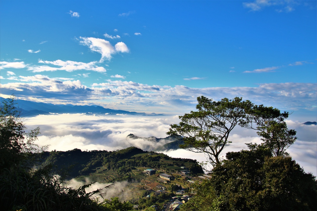 IMG_8654.JPG IMG_8654.JPG