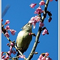 050306福山DSC_6850