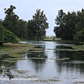 台東森林公園.琵琶湖 003