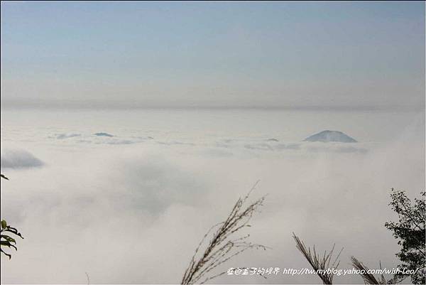 阿里山公路雲海 008