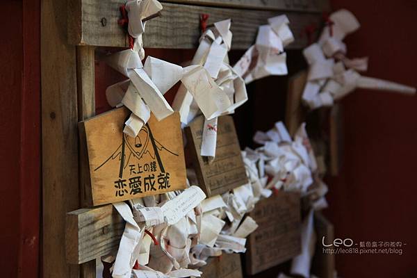 天上山公園眺望富士山與河口湖 (27)