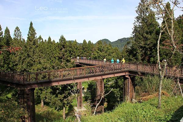 阿里山-塔塔加-東埔溫泉 (100)