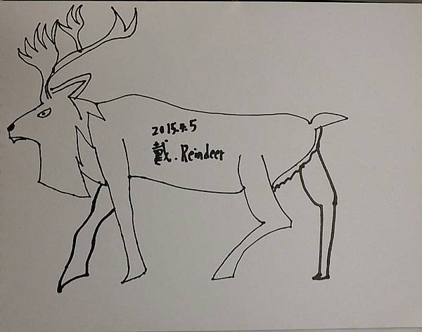 Reindeer