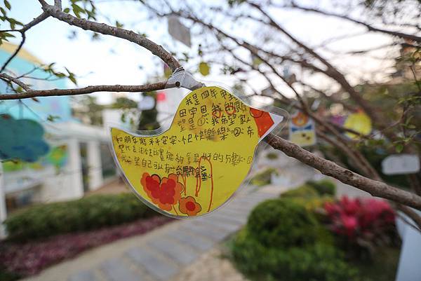 IMG_9933.jpg IMG_9933.jpg