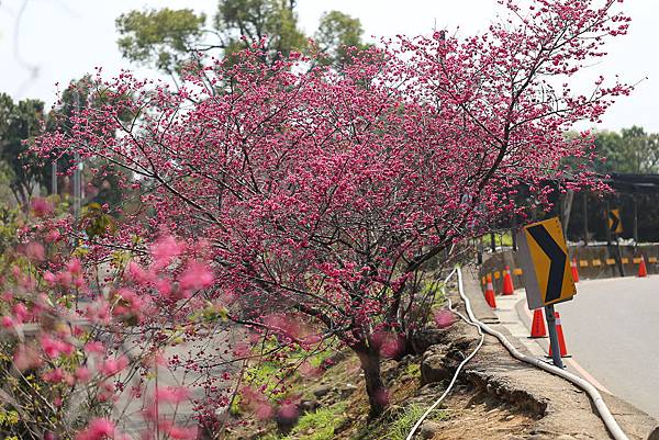 IMG_0578.jpg IMG_0578.jpg