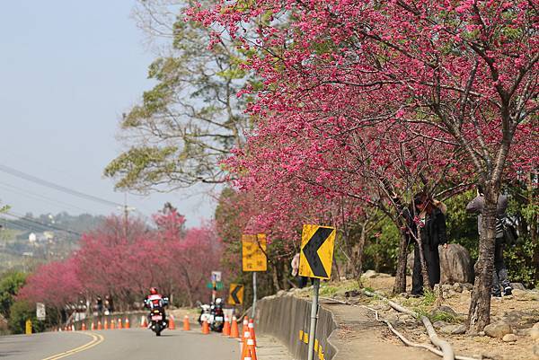 IMG_0600.jpg IMG_0600.jpg