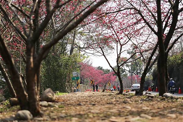 IMG_0656.jpg IMG_0656.jpg