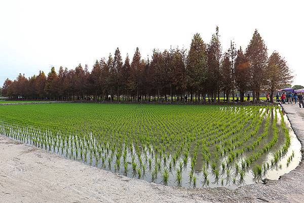 IMG_1125.jpg IMG_1125.jpg