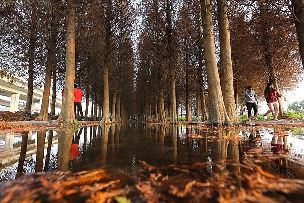 IMG_1108.jpg IMG_1108.jpg