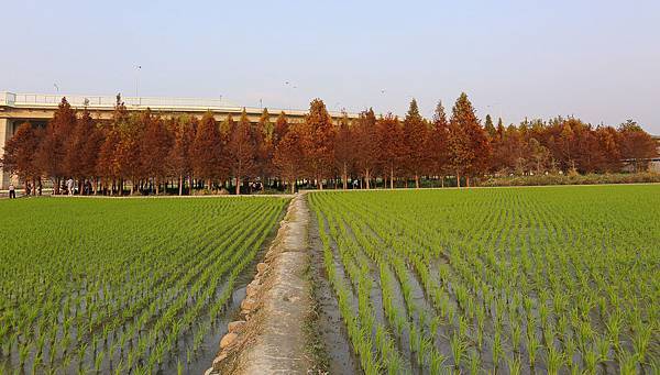 IMG_1088.jpg IMG_1088.jpg