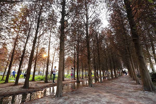 IMG_1140.jpg IMG_1140.jpg