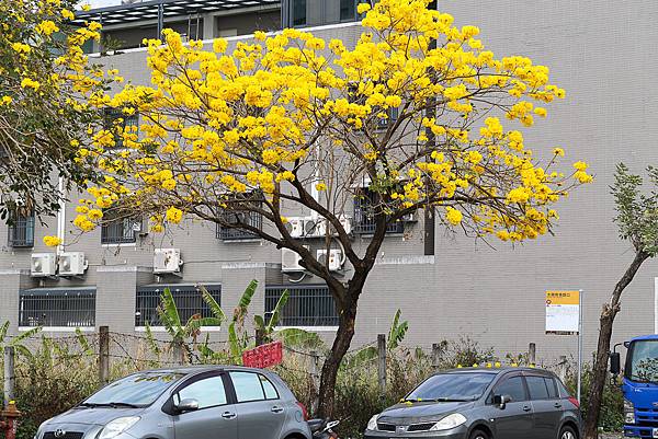 IMG_3201.jpg IMG_3201.jpg