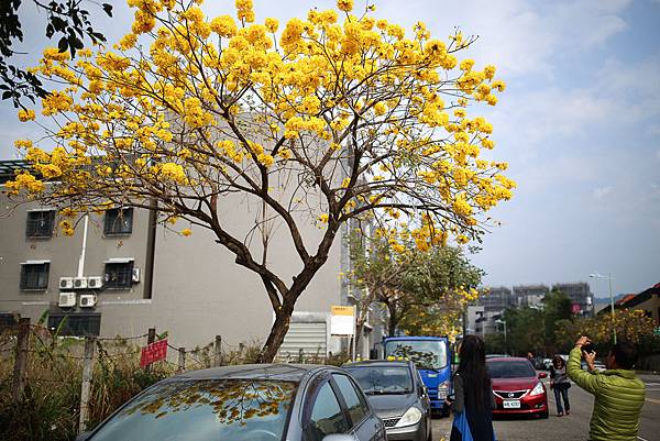 IMG_3227.jpg IMG_3227.jpg