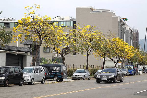 IMG_3192-2.jpg IMG_3192-2.jpg