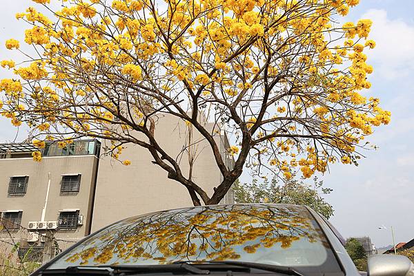 IMG_3228.jpg IMG_3228.jpg