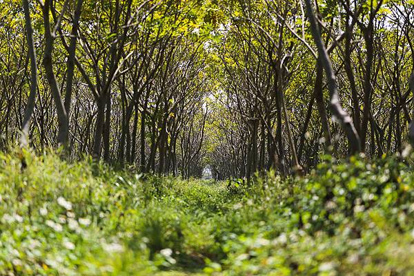 IMG_7221.jpg IMG_7221.jpg