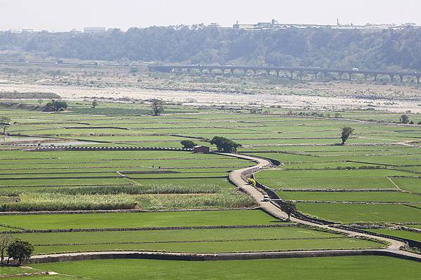 IMG_7290.jpg IMG_7290.jpg